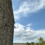 Reolink Trackmix POE security camera.